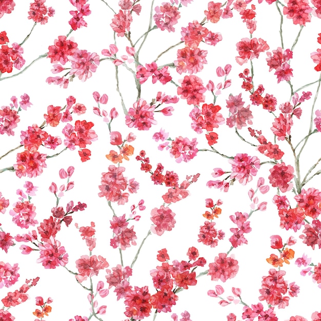 Foto motivo floreale senza soluzione di continuità fiori di ciliegio primaverili su sfondo bianco disegno ad acquerello