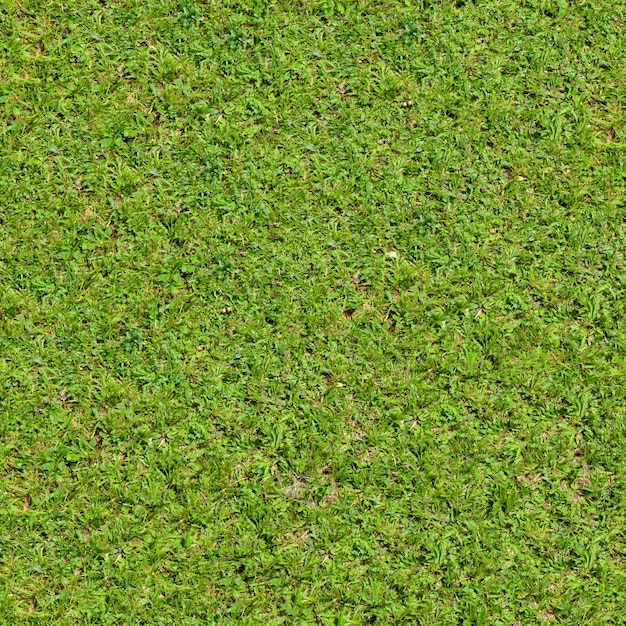 Seamless Grass Texture Lawn meadow Golf football baseball tennis Land plot stadium yard