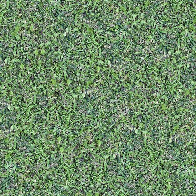 원활한 녹색 잔디 지상 패턴 배경 질감