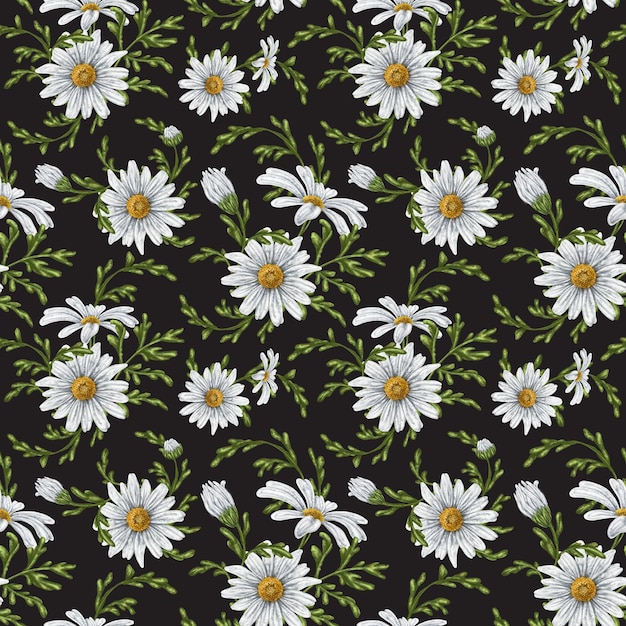 Photo seamless hand drawn pattern with white chamomiles flower background