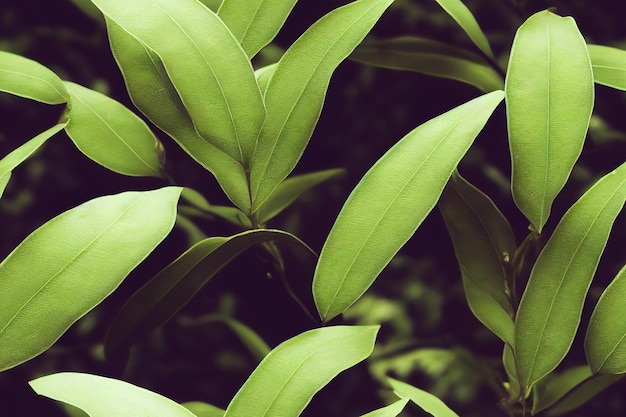 Seamless nature pattern closeup tropical background