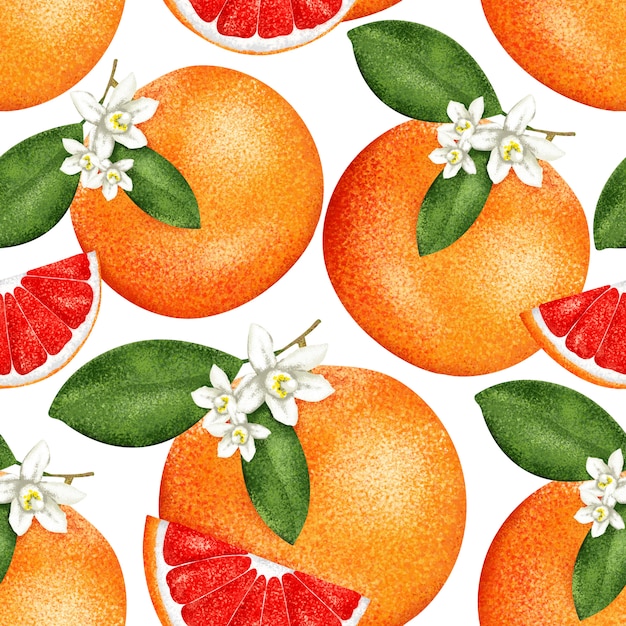 Seamless paints grapefruit pattern. For textiles and fabric.  Citrus set.