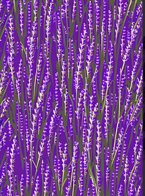 Seamless pattern background inspired by a field of lavender with rows of lavender plants and buzzing bees collecting nectar