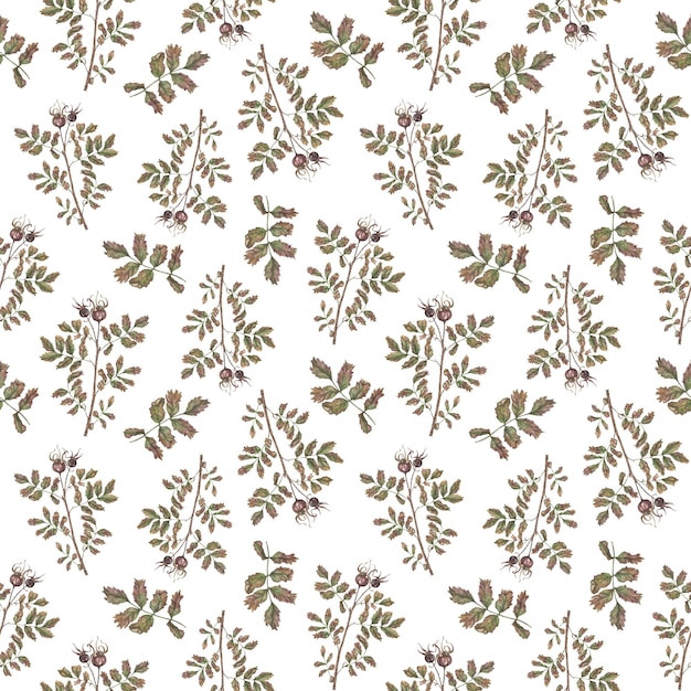 Seamless pattern on a background with leaves eyelids and rosehip Flower wild Illustration for fabric