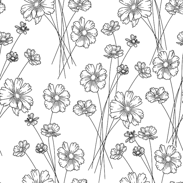 Seamless pattern of black line art Cosmos flowers and stems on white background