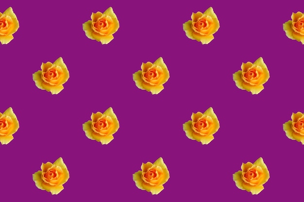 グレープ パープル色の背景に開花の黄色いバラのシームレス パターン