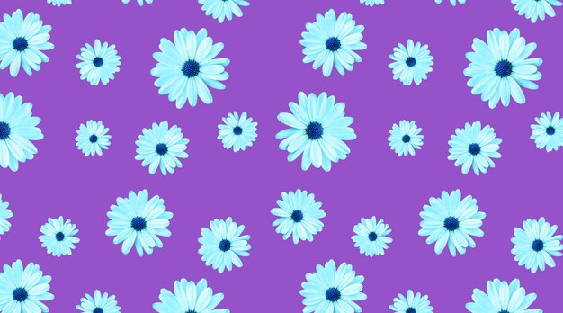 Seamless pattern of chamomiles with a blue center on a purple background