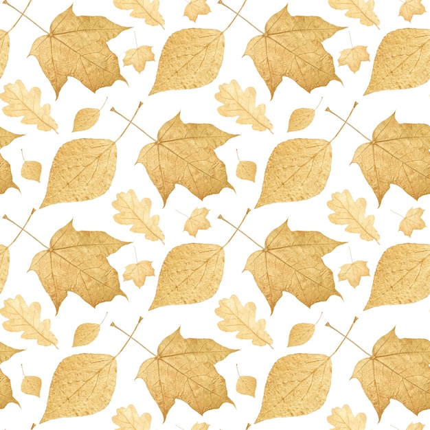 Photo seamless pattern of colored leaves isolated on white background