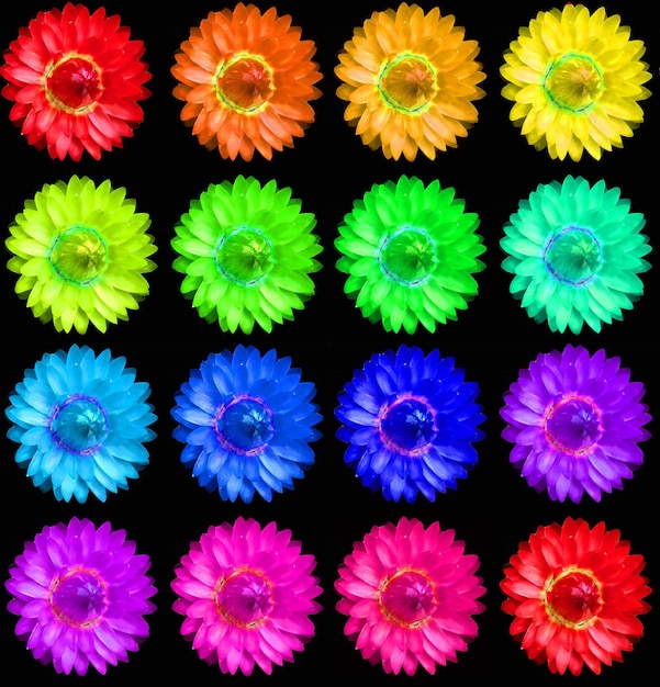 シームレス パターン デイジー カモミールの花虹色、珍しい花のテクスチャ、カラフルな背景