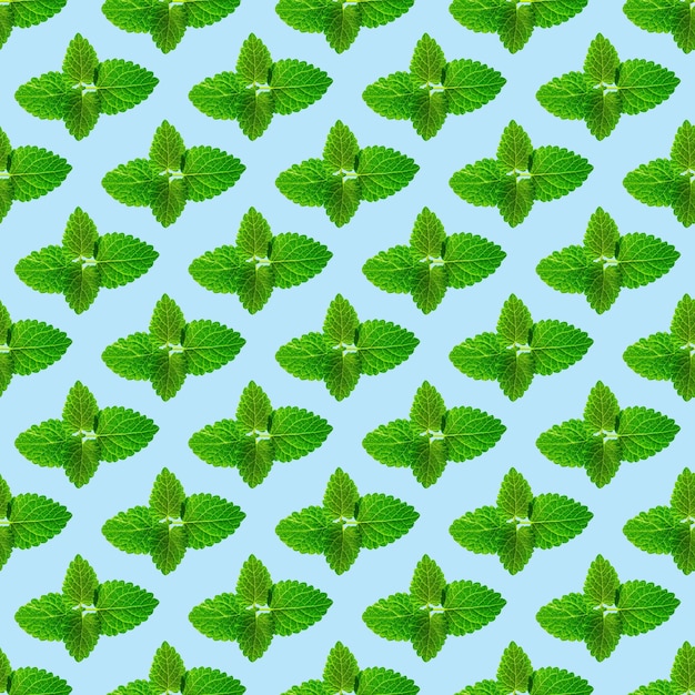 Seamless pattern of fresh mint leaves on blue background