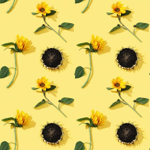 Seamless pattern from yellow sunflowers and black seeds.