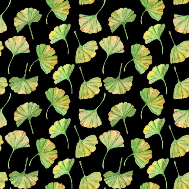 Seamless pattern ginkgo biloba green and yellow leaves print botany foliage Watercolor branches Leaves clip art