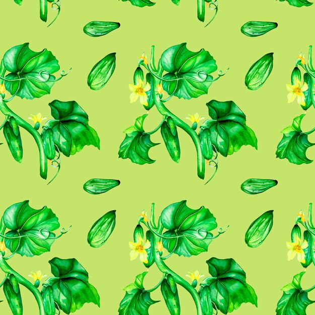 Seamless pattern of green cucumbers vegetable watercolor illustration