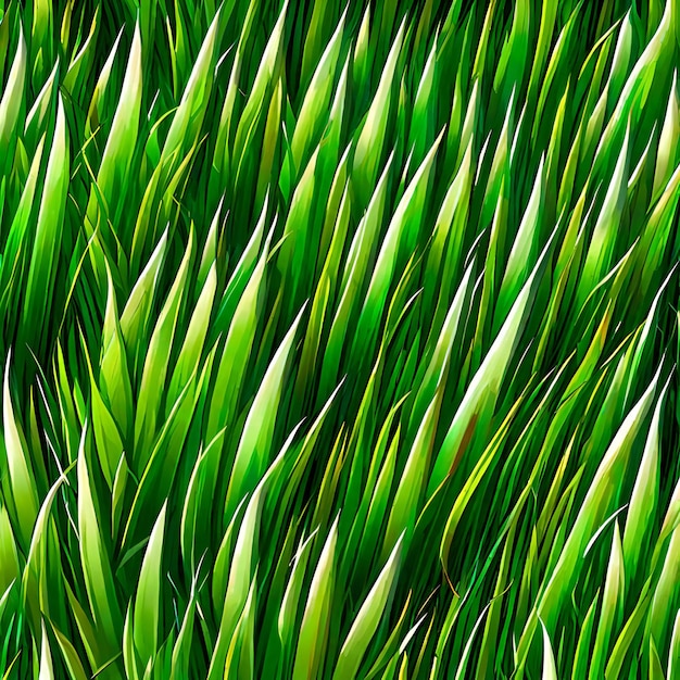 Seamless pattern of green grass Abstract background