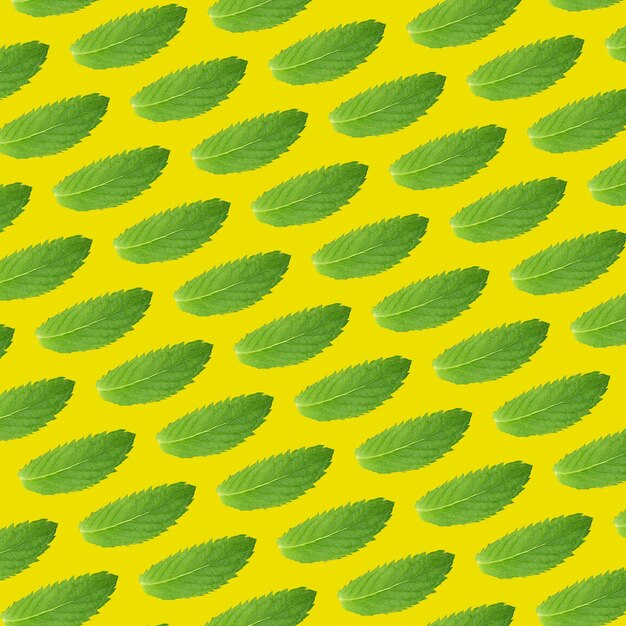 Seamless pattern of green mint leaves on a yellow background