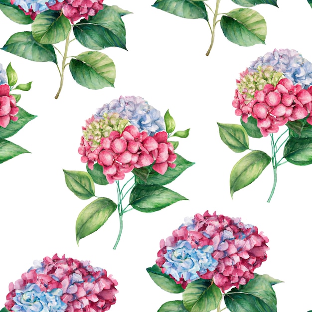 Seamless pattern of hydrangea flowers on a white background