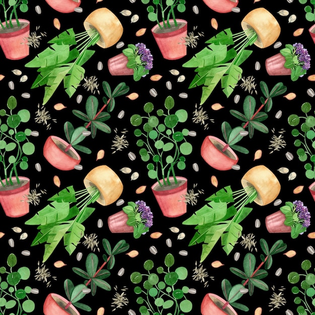 Seamless pattern of indoor plants ficus palm violet potted\
money tree handpainted in watercolor