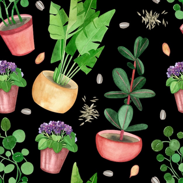 Seamless pattern of indoor plants ficus palm violet potted money tree handpainted in watercolor