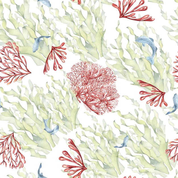 흰색 배경에 고립 된 laminaria와 산호 수채화의 원활한 패턴 핑크 한천 한천 바다 식물과 물고기 손으로 그린 패키지 섬유 종이 포장 해양 컬렉션에 대한 디자인 요소