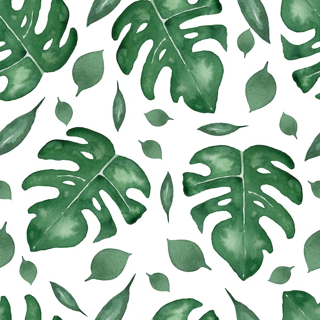 Seamless pattern of leaves monstera. Tropical leaves of palm tree. 