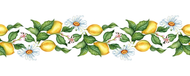 Безшовный рисунок Лимоны желтые сочные созревшие с зелеными листьями цветочные бутоны на ветвях и маргаритках Акварель ботаническая иллюстрация изолированная Вкусная еда для дизайна печатная ткань фон