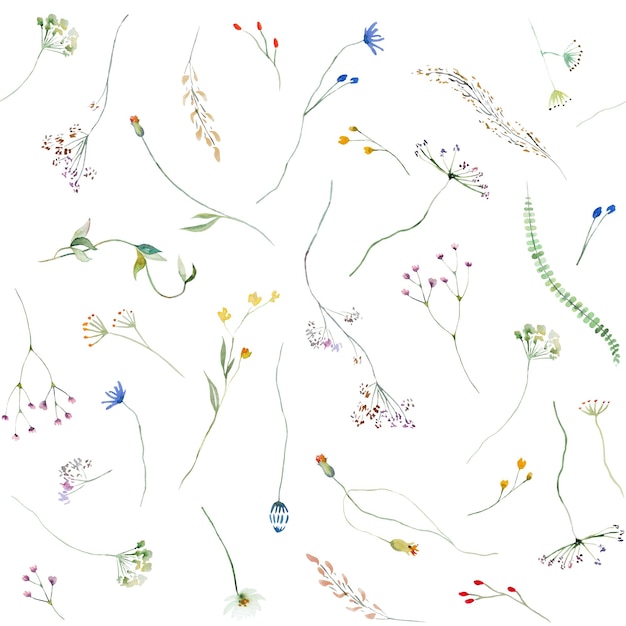 Seamless pattern made of watercolor wild flowers and leaves summer wedding and greeting illustration
