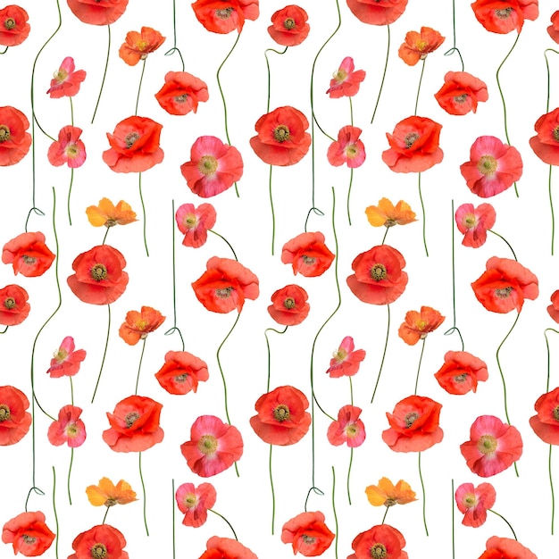 写真 赤いポピーの花のシームレスなパターン