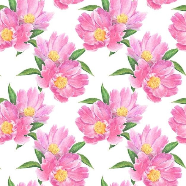 Photo seamless pattern of peony flowers and leaves drawn with colored pencils