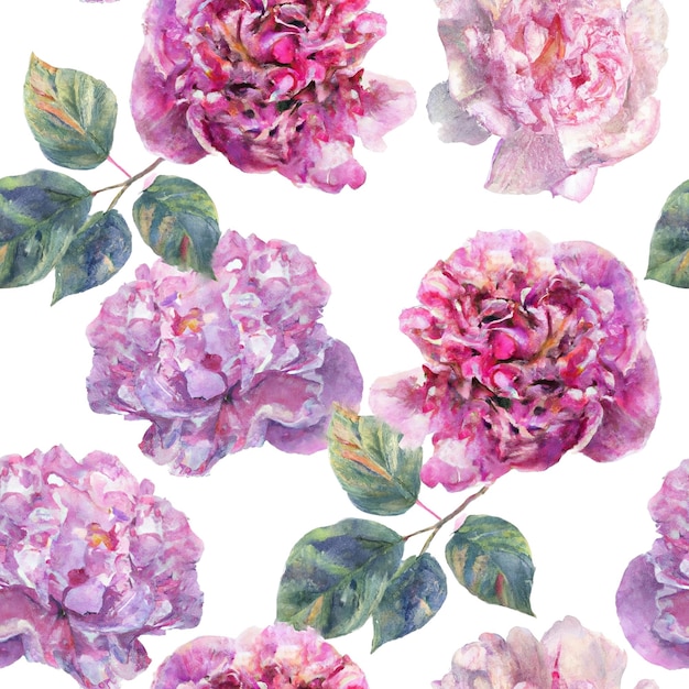 A seamless pattern of pink and purple roses on a white background