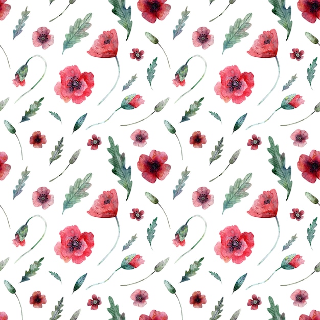 Seamless pattern of poppies on white