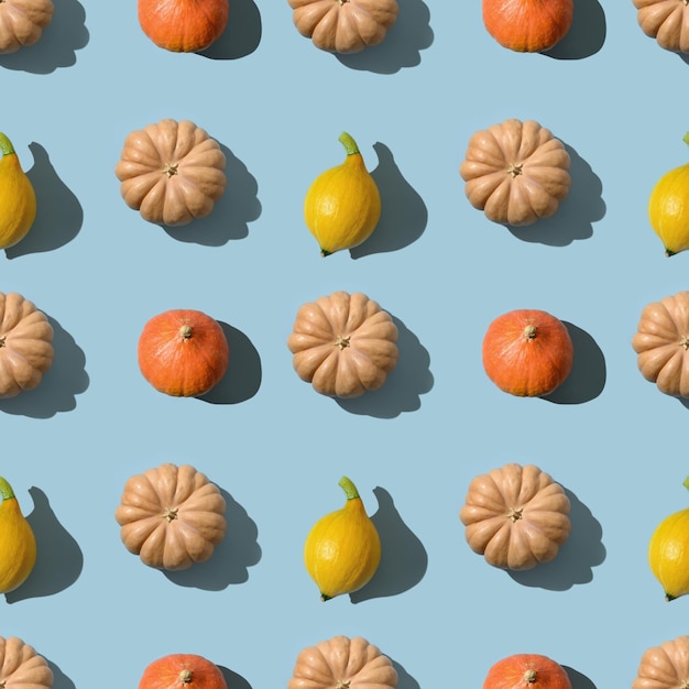 Seamless pattern of pumpkins with shadow Autumn harvest eco concept