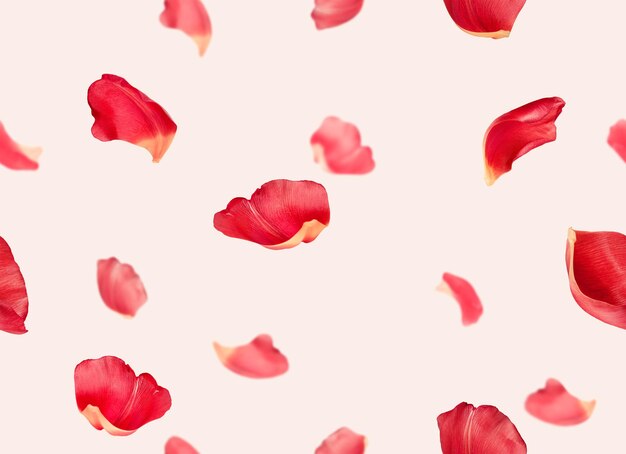 Photo seamless pattern of red flower petals on pink background