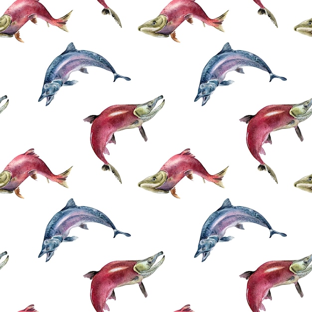 Seamless pattern of salmon coho chum watercolor illustration isolated on white