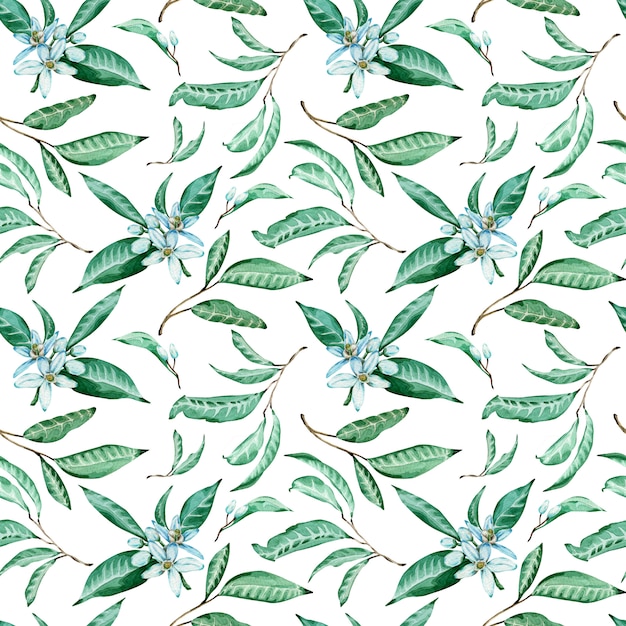 Photo seamless pattern of tangerine flowers and leaves on white background. watercolor tropical background.