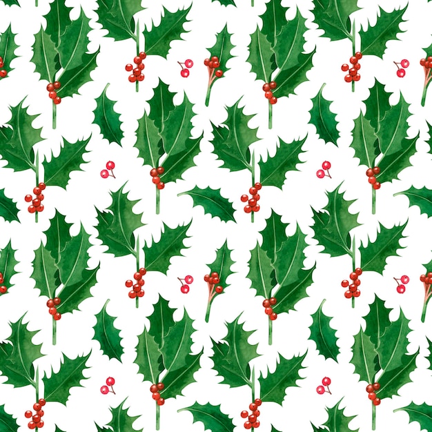 Seamless pattern and watercolor elements on a white background Green sprigs of holly and poddub