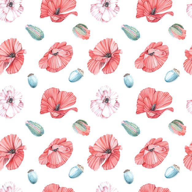 Seamless pattern of watercolor illustrations of pinkred poppy on white backgroundIsolated Handmade