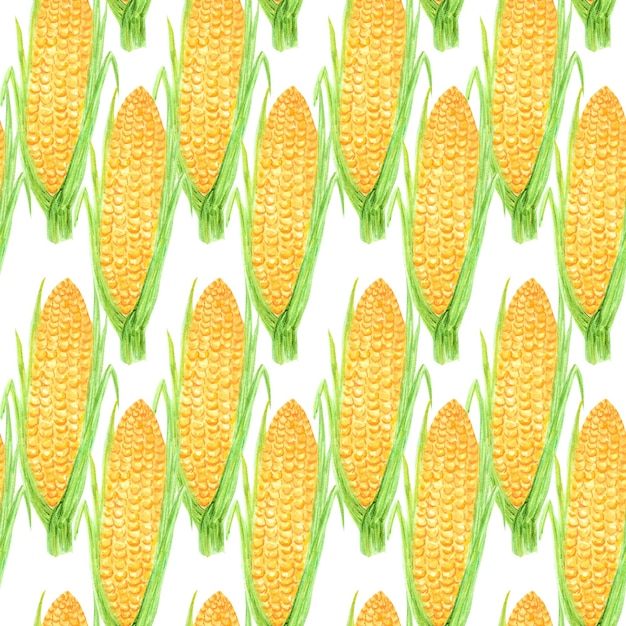 Seamless pattern Watercolor orange yellow corn Cartoon style Hand drawn fresh vegan food