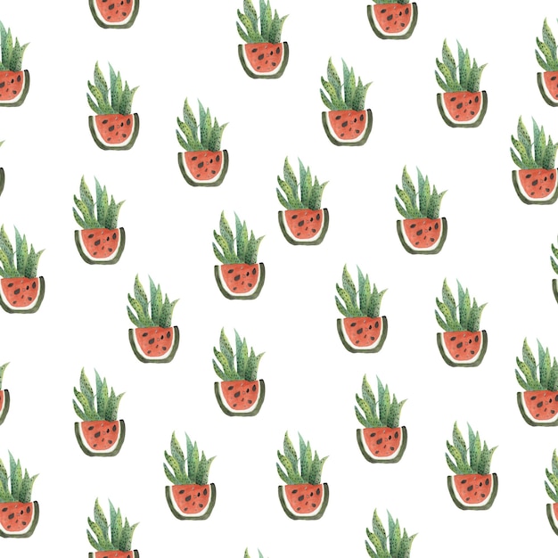 Seamless pattern of watermelon and cactus planters