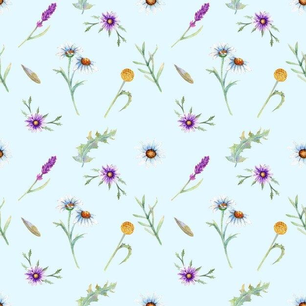 Seamless pattern wild flowers background watercolor