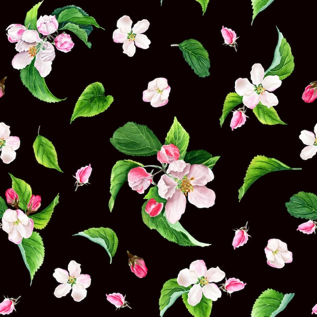 Seamless pattern with apple tree blooms buds and leaves Watercolor illustration isolated on black background