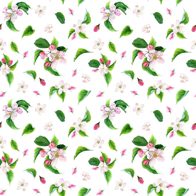 りんごの木の花とのシームレスなパターン 白い背景で隔離の水彩イラスト