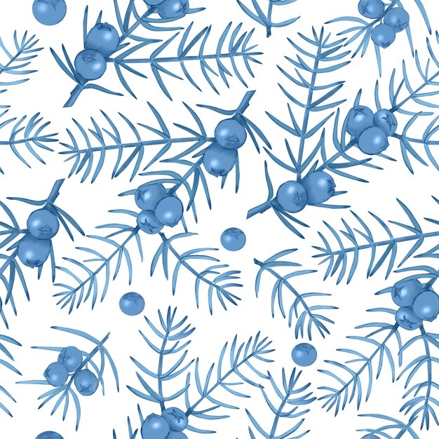 Seamless pattern with blue juniperon white background