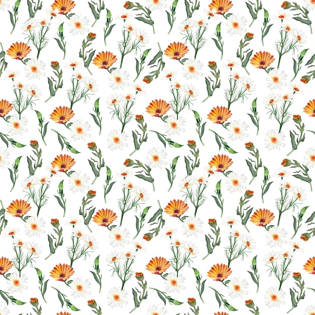 Seamless pattern with chamomile flowers and orange calendula flowers handpainted in watercolor