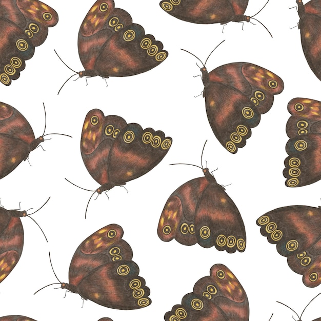 Seamless pattern with colorful butterflies on white background