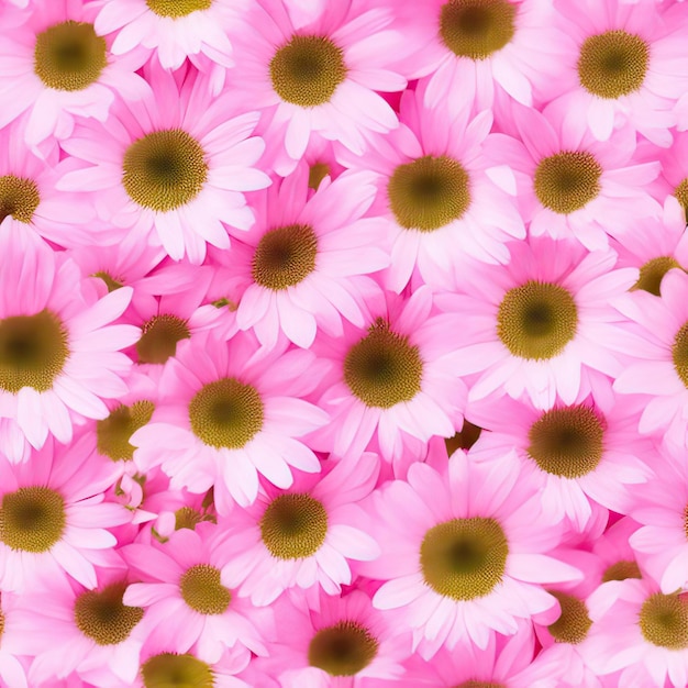 Seamless pattern with daisies endless photos