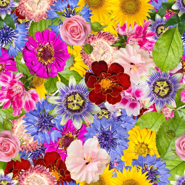 Seamless pattern with different spring flowers