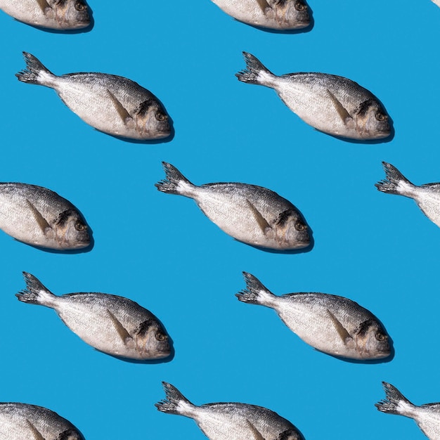 Seamless pattern with dorado fish on a bright blue background with hard shadows