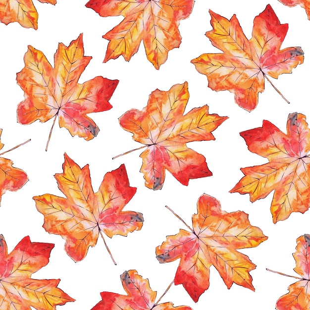 Seamless pattern with fall orange maple leaves Watercolor autumn background on white Natural botanical texture for design print stationary