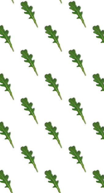 Seamless pattern with green arugula leave isolated on white background, top view