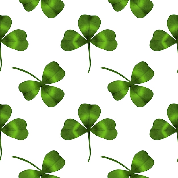 Photo seamless pattern with green clover leaf on white background